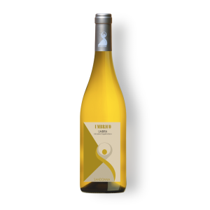 UMBRICO BIANCO-Sandonna 2024